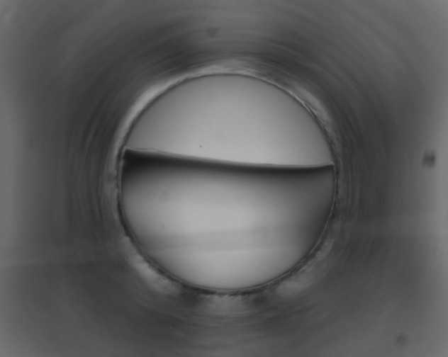 X0000096690800200802051036