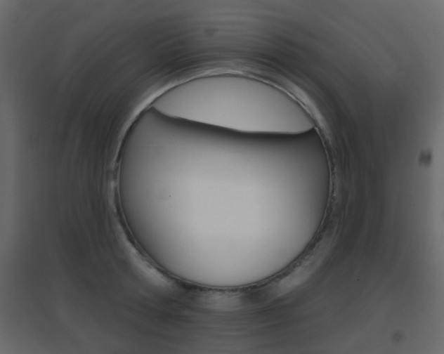 X0000096690802200802051036