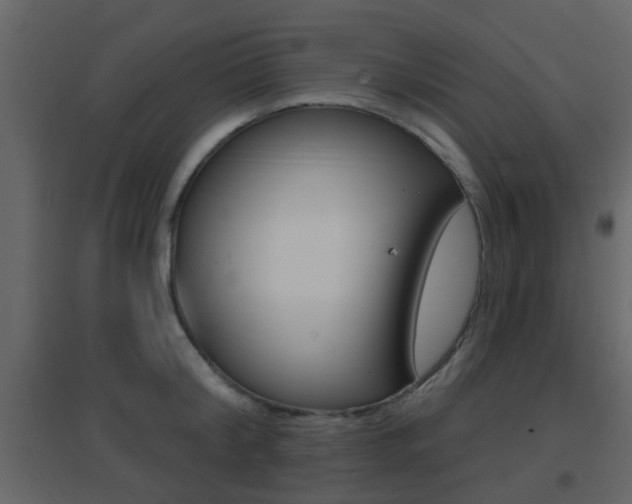 X0000096690804200802051036