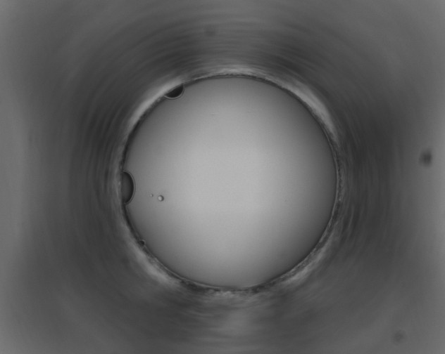 X0000096690806200802051036