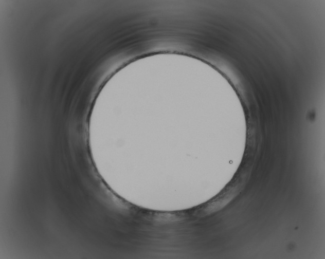 X0000096690807200802051036