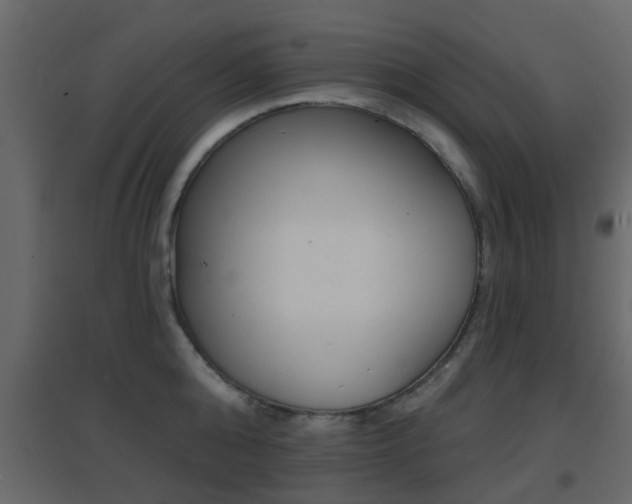 X0000096690808200802051036