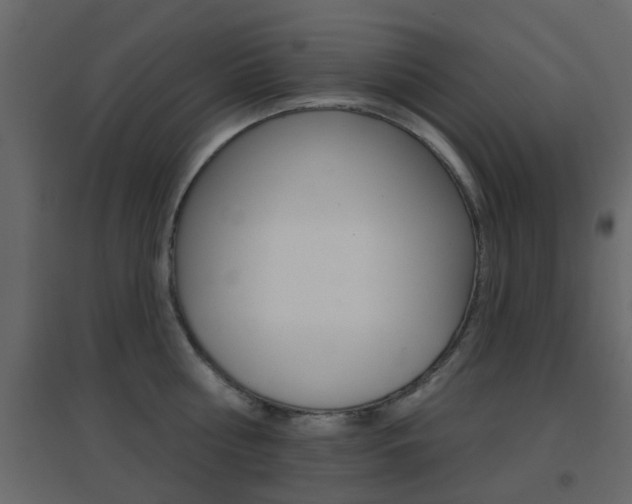 X0000096690810200802051036