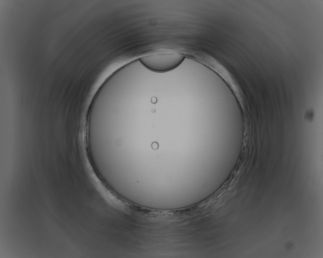 X0000096690811200802051035