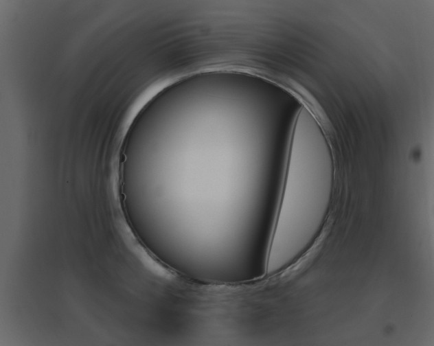 X0000096690812200802051035