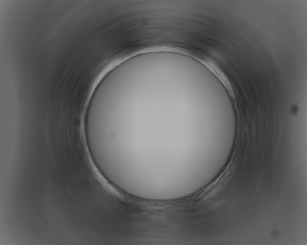 X0000096690813200802051035