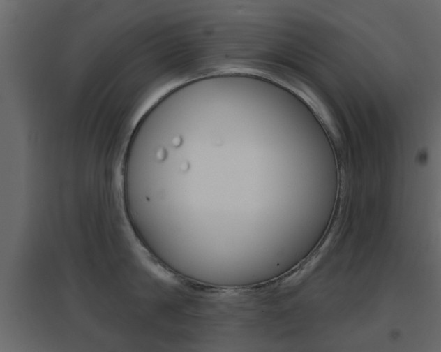 X0000096690814200802051035