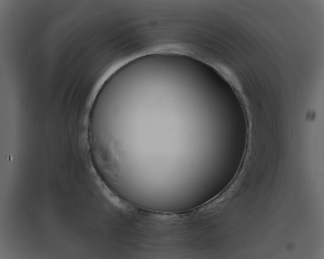 X0000096690816200802051035