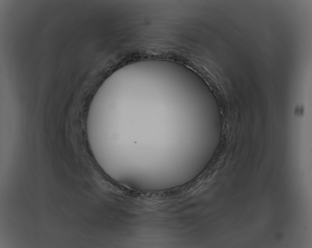 X0000096690817200802051035