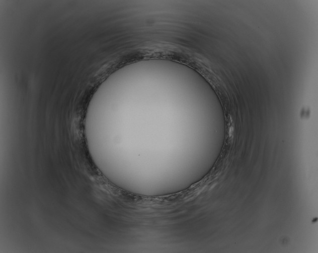 X0000096690819200802051035