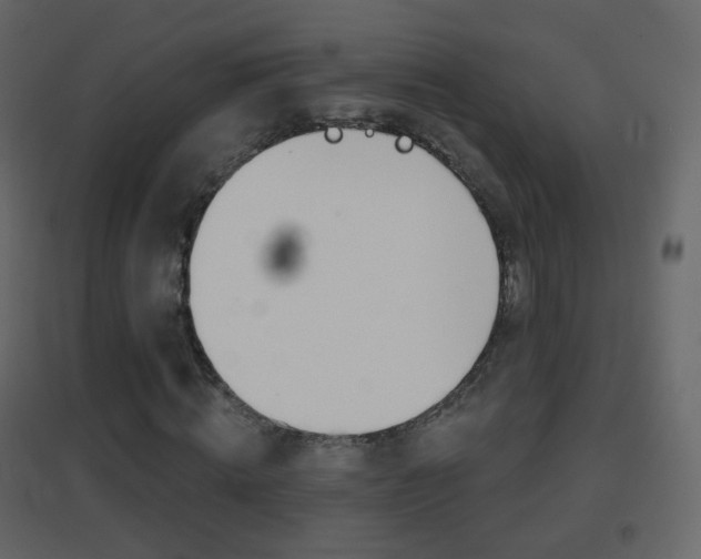 X0000096690820200802051035