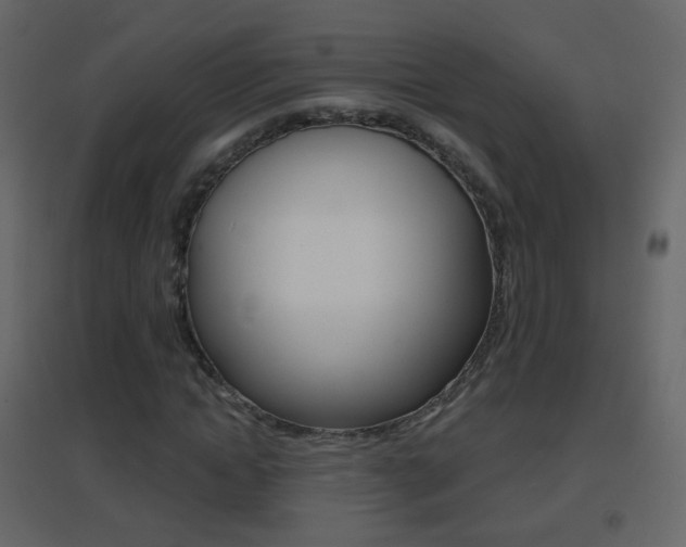 X0000096690822200802051035
