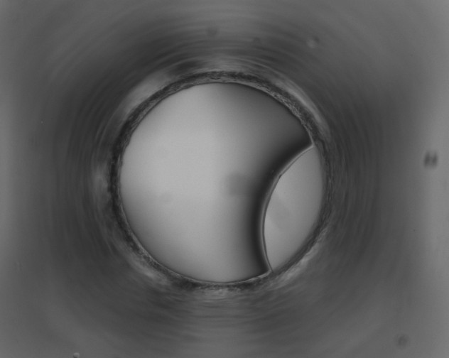 X0000096690826200802051035