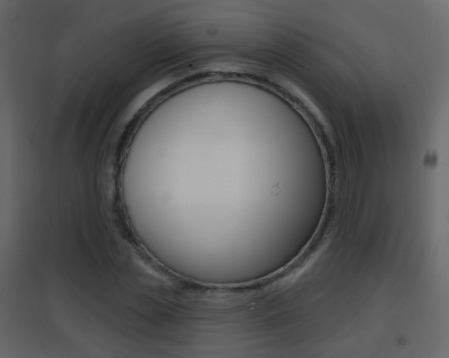 X0000096690829200802051035