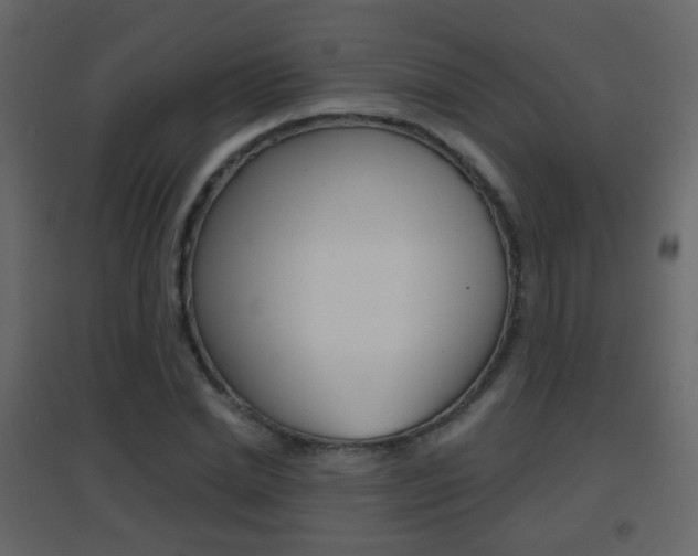 X0000096690830200802051035