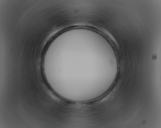 X0000096690831200802051035