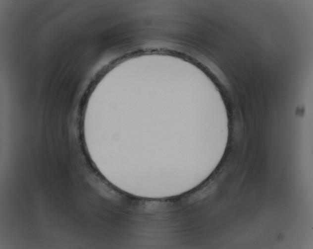 X0000096690832200802051035