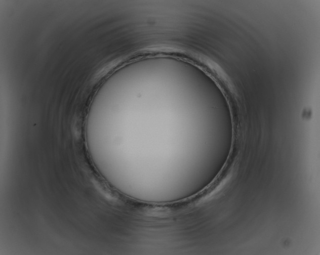 X0000096690833200802051035