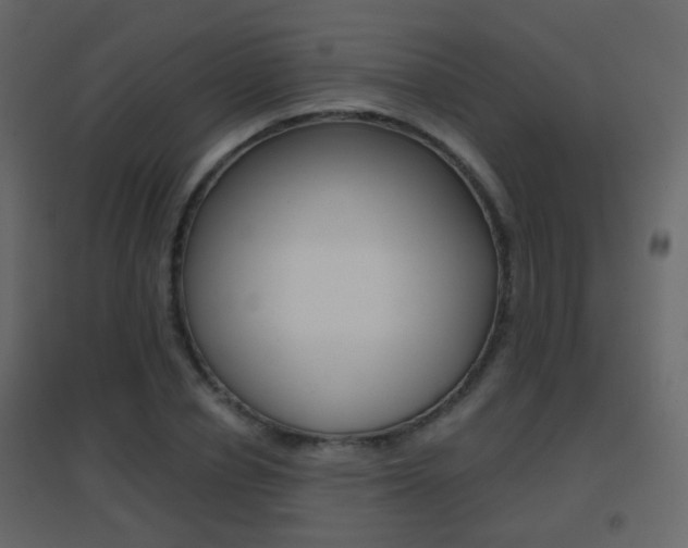 X0000096690834200802051035
