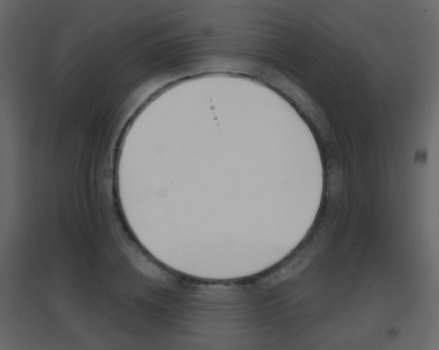 X0000096690836200802051035