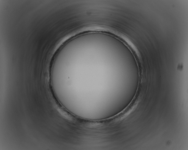 X0000096690837200802051035
