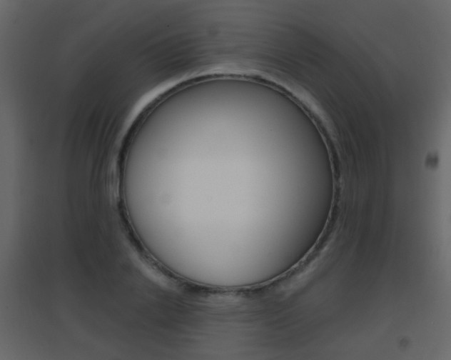 X0000096690838200802051035
