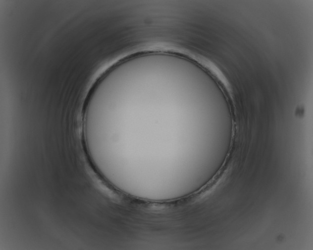 X0000096690839200802051035