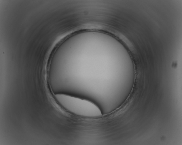 X0000096690840200802051035