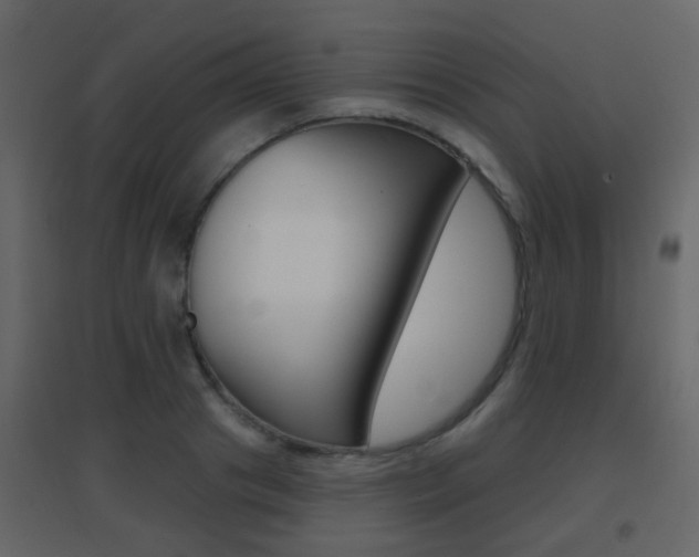 X0000096690841200802051035