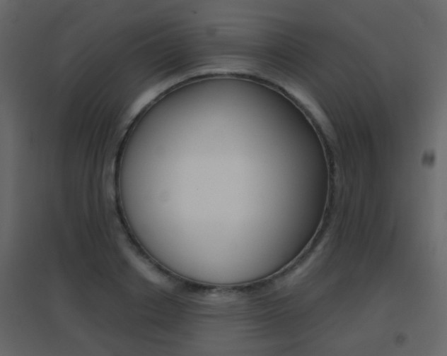 X0000096690842200802051035