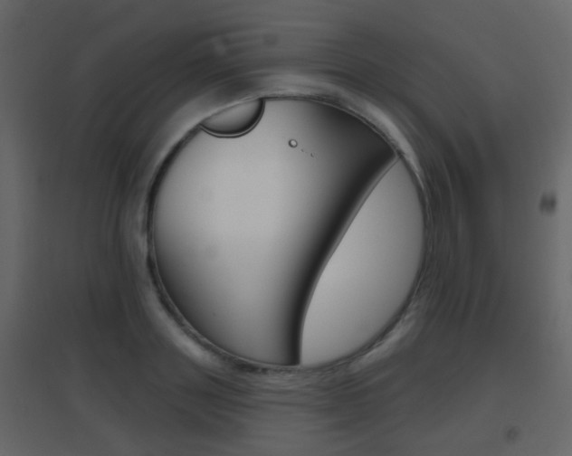 X0000096690843200802051035