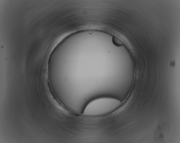 X0000096690844200802051035