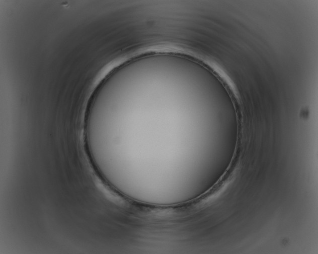 X0000096690845200802051035
