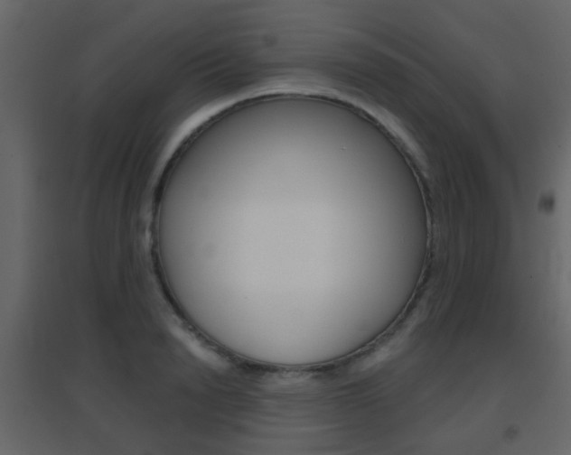 X0000096690846200802051035