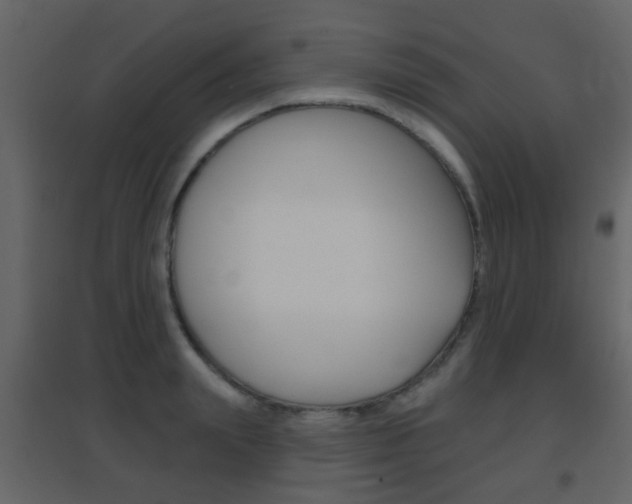 X0000096690847200802051035