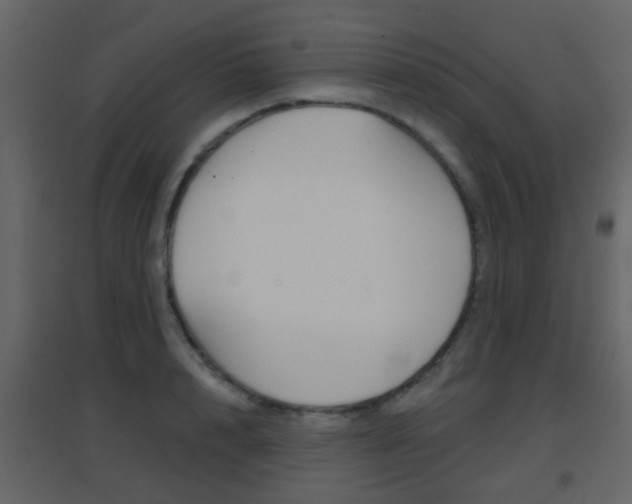 X0000096690848200802051035