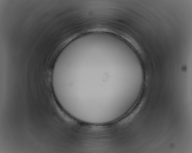 X0000096690849200802051035