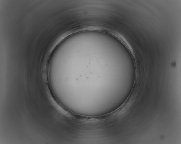 X0000096690851200802051035