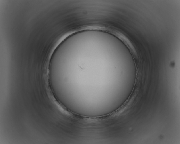 X0000096690852200802051035