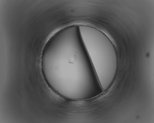 X0000096690853200802051035