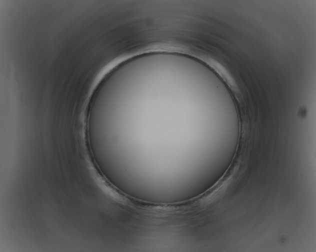 X0000096690854200802051035