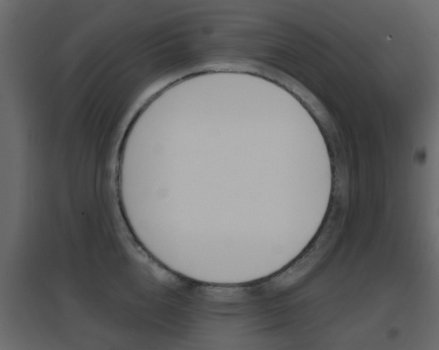 X0000096690856200802051035