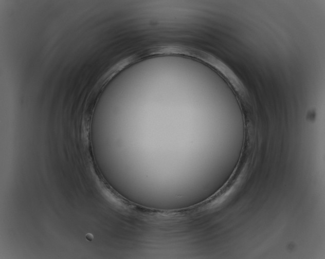 X0000096690857200802051035