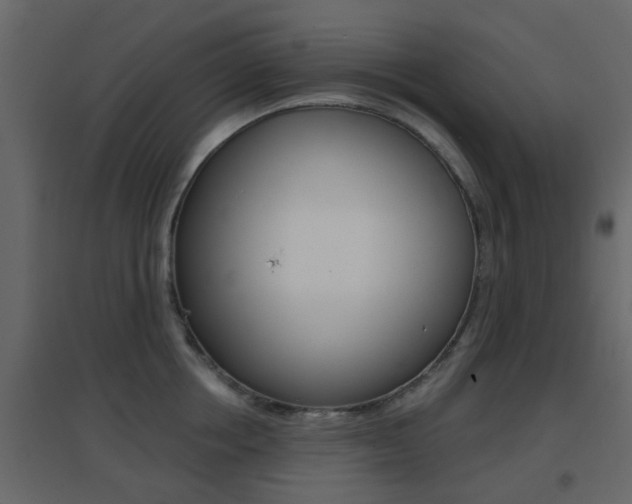 X0000096690858200802051035