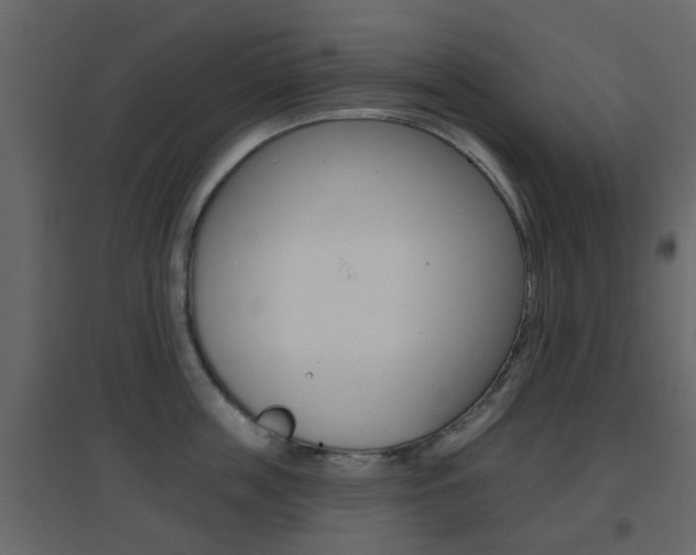 X0000096690859200802051035