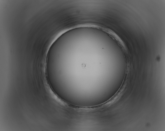 X0000096690860200802051035