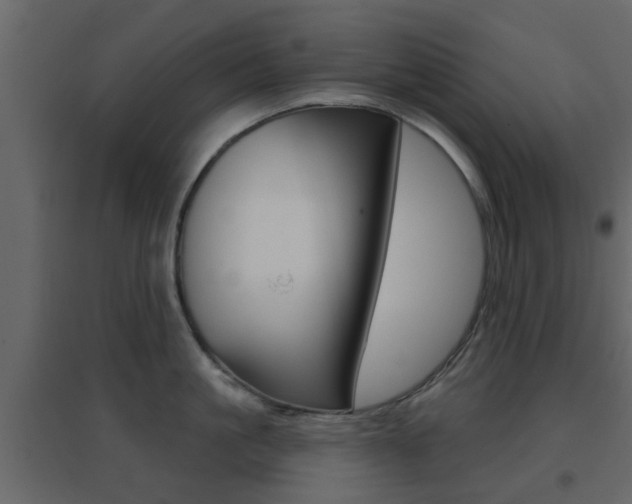 X0000096690861200802051035