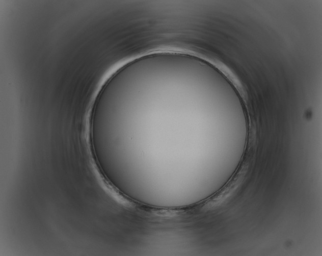 X0000096690862200802051035