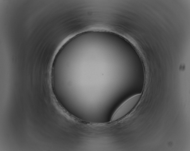 X0000096690864200802051035