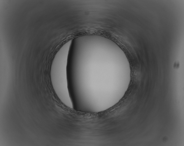 X0000096690865200802051035